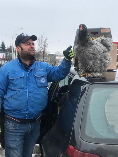 IMG-20230129-WA0009 - BRAHMA ALBASTRU 2023