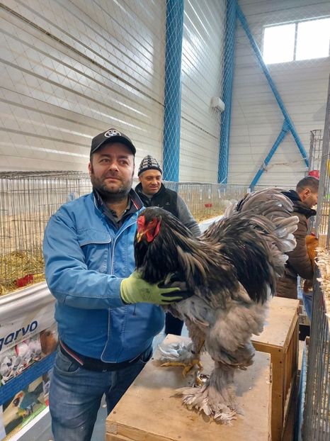 IMG-20230129-WA0016 - BRAHMA ALBASTRU 2023