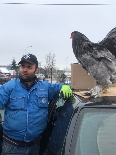 IMG-20230129-WA0013 - BRAHMA ALBASTRU 2023