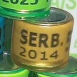 2014-Serbia - Serbia