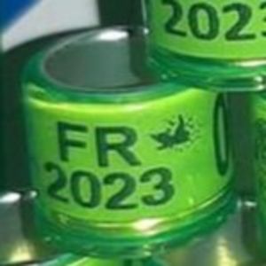 2023-Franta - Franta