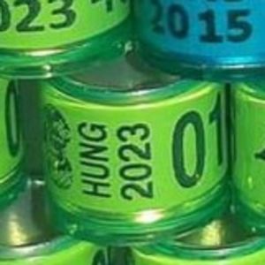 2023-Ungaria - Ungaria