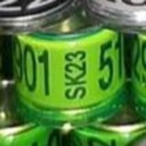 2023-Slovacia - Slovacia