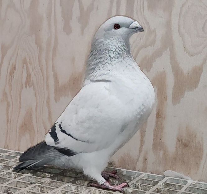 PL22-A2364 ARCHIWUM - i- MLODE -2022- Youth