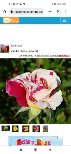 2023_01_26_21.02.58 - Vanilie Fraise