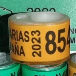 2023-Spania - Spania