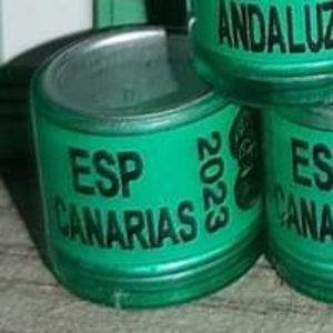 2023-Spania - Spania