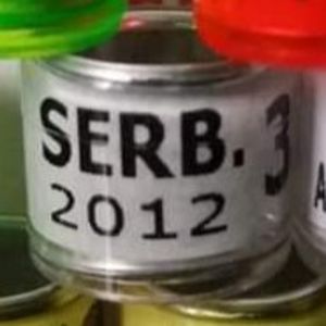 2012-Serbia - Serbia
