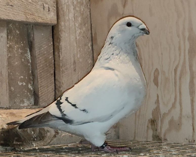 PL22-A2353 Archiwum - i- MLODE -2022- Youth