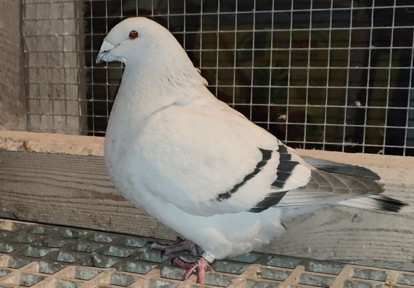 PL22-A2381 Archiwum - i- MLODE -2022- Youth