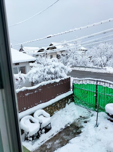 IMG20230205084258 - Februarie 2023