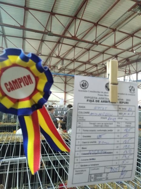  - Expoziția Fauna Băniei 2023