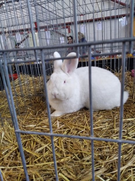  - Expoziția Fauna Băniei 2023