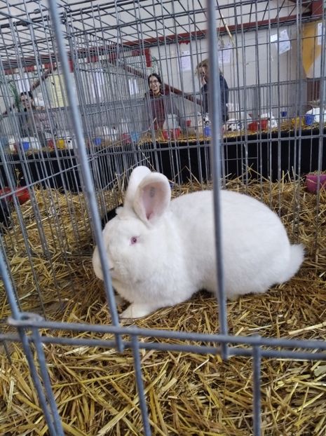  - Expoziția Fauna Băniei 2023