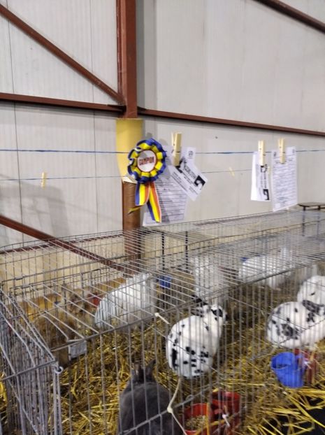  - Expoziția Fauna Băniei 2023