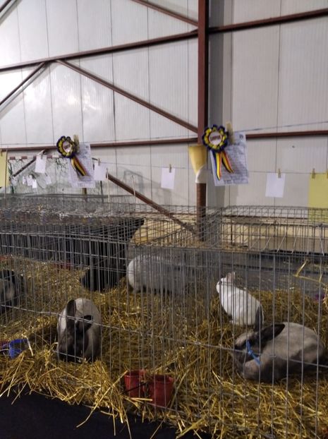  - Expoziția Fauna Băniei 2023