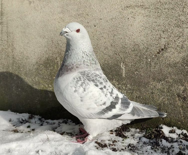 PL22-A2363 Archiwum - i- MLODE -2022- Youth