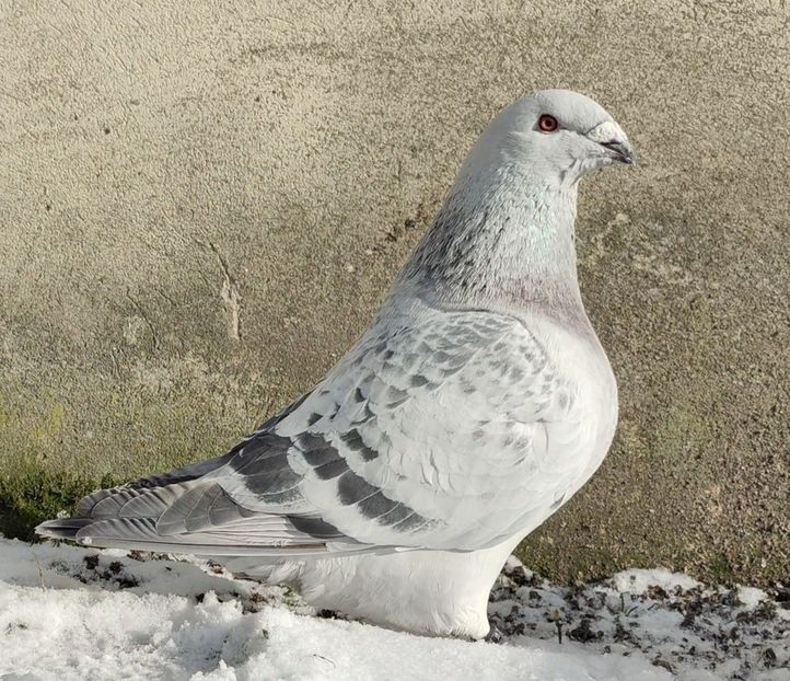 PL22-A2363 Archiwum - i- MLODE -2022- Youth