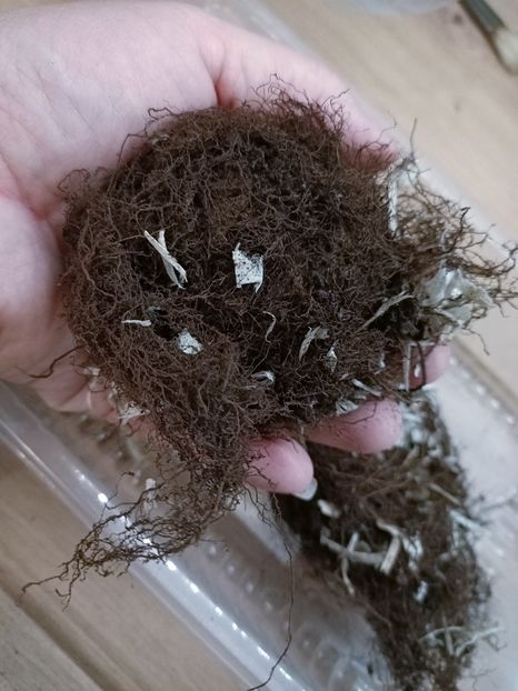 Img.2023.02.06 - Achiziții 2023