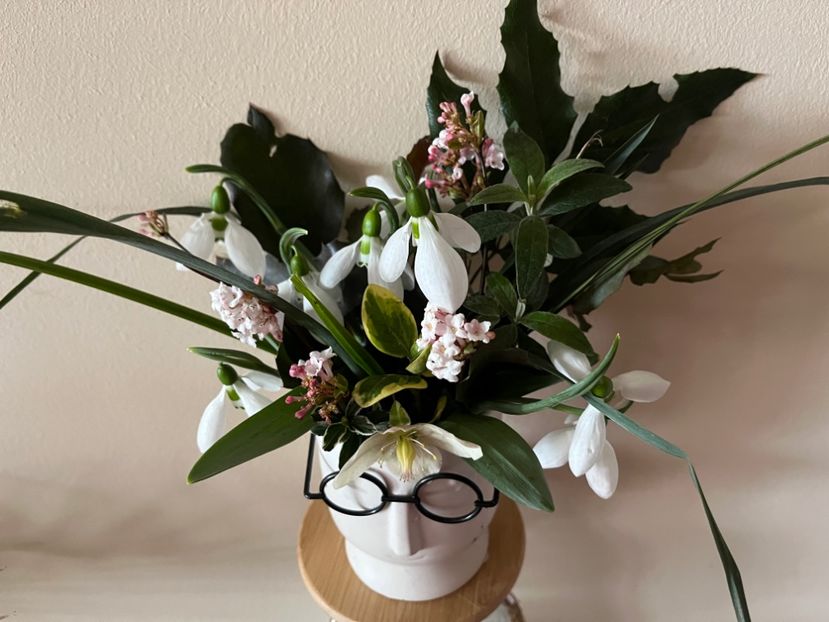 158E02DA-C4B3-4CD1-BE8D-7DFBB1C86B51 - Aranjamente licheni și flori