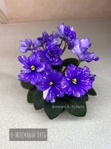 Н-Млечный Путь - N-Mlechniy Put