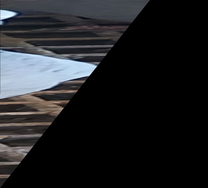  - Porumbei standard și vrdf 2022