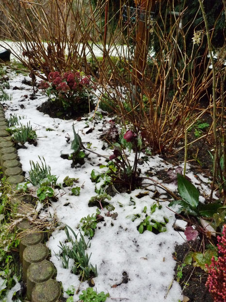  - 2022 - 04 - 2023 - 00 - Iarna