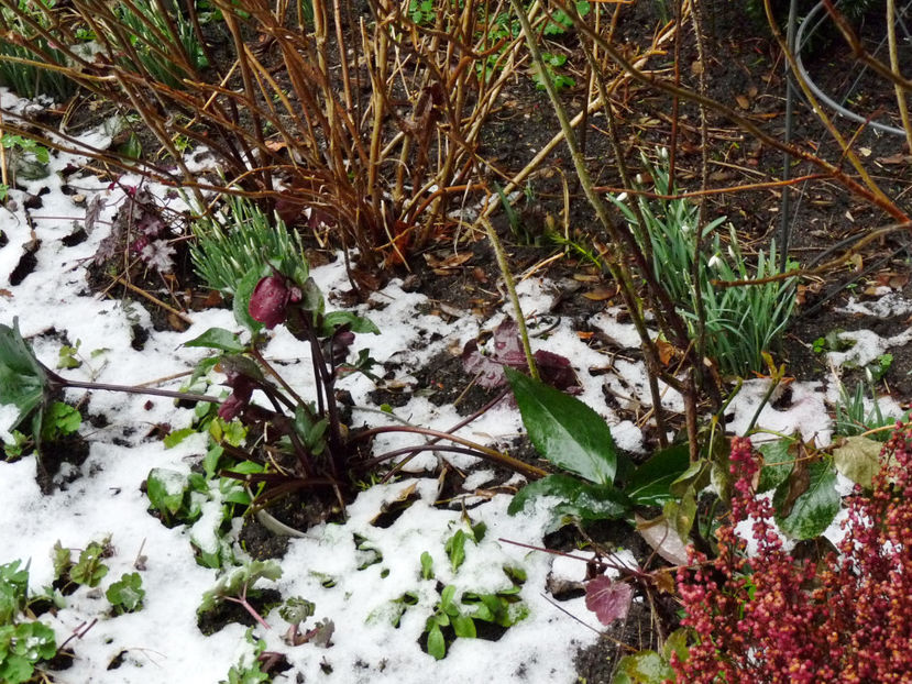  - 2022 - 04 - 2023 - 00 - Iarna