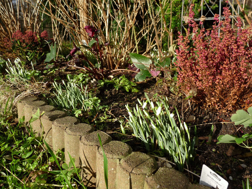  - 2022 - 04 - 2023 - 00 - Iarna