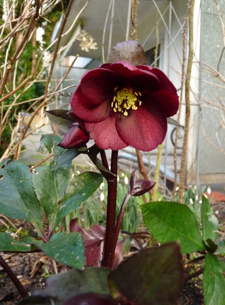  - 2022 - 04 - 2023 - 00 - Iarna