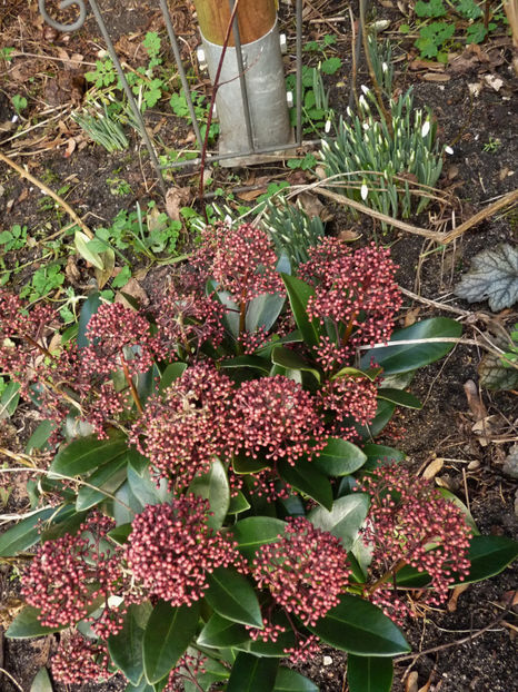  - 2022 - 04 - 2023 - 00 - Iarna