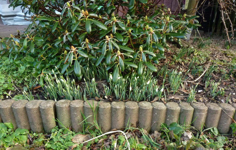  - 2022 - 04 - 2023 - 00 - Iarna