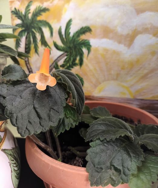 La multi ani draguta noastra!❤️❤️❤️ - A mea frumoasă Natalia