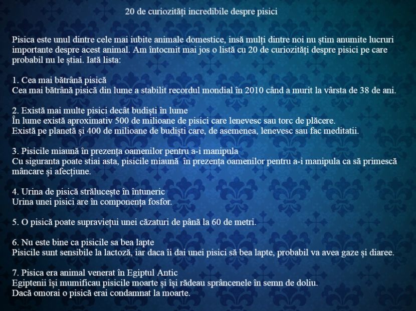 20 de curiozitati incredibile despre pisici - Curiozități