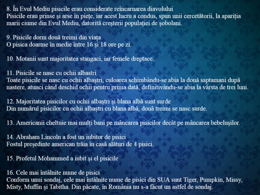20 de curiozitati incredibile despre pisici - Curiozități