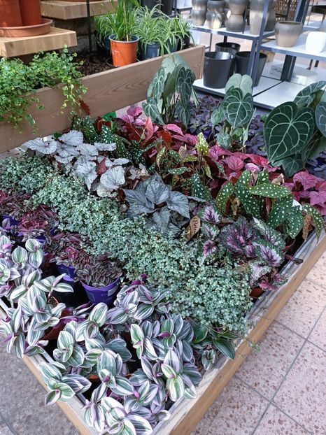 Img.2023.02.11 - Magazin 2