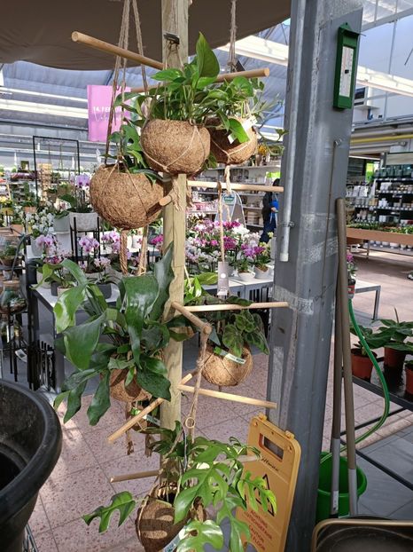 Img.2023.02.11 - Magazin 2