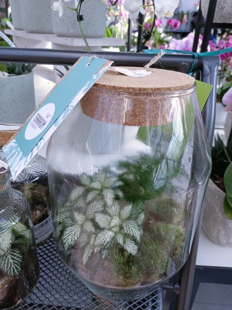 Img.2023.02.11 - Magazin 2