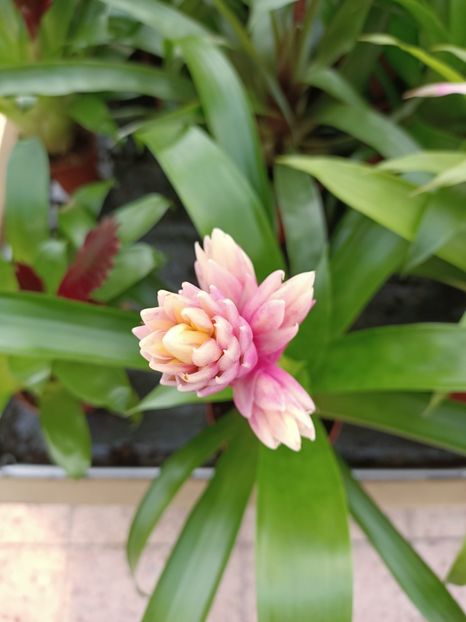 Img.2023.02.11 - Magazin 2