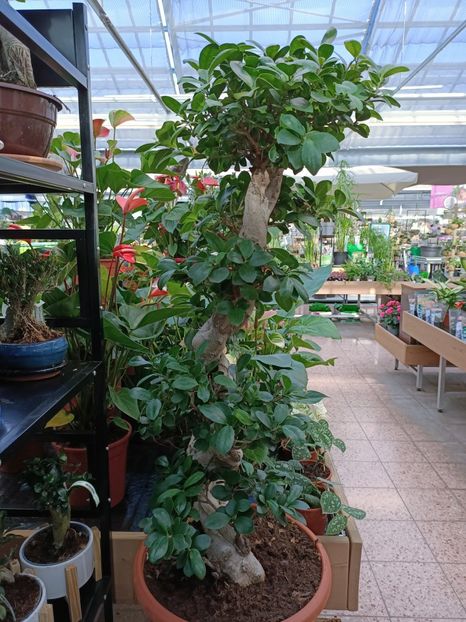 Img.2023.02.11 - Magazin 2