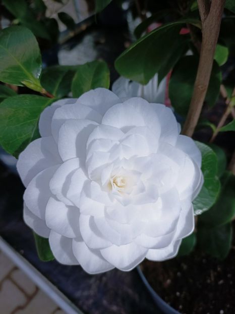 Img.2023.02.11 - Magazin 2