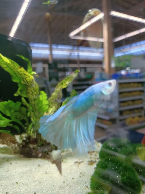 Img.2023.02 11 - Magazin 2