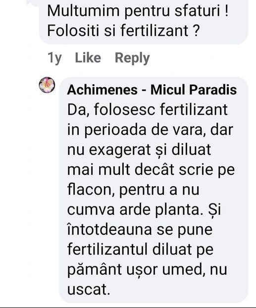 fertilizant - Achimenes - de la rizomi la plante