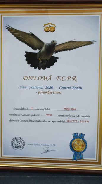 ,,iZi’’ - Rezultate