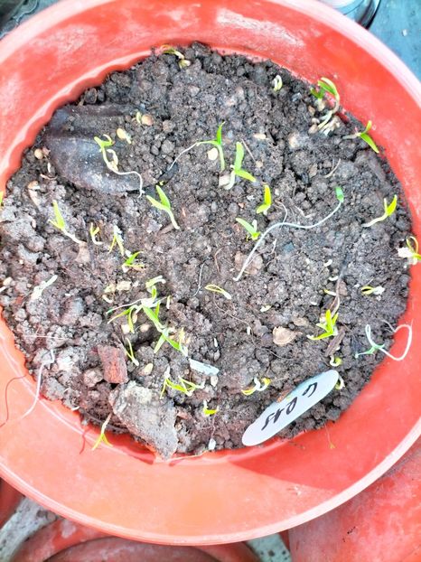 IMG20230212102912 - Februarie 2023