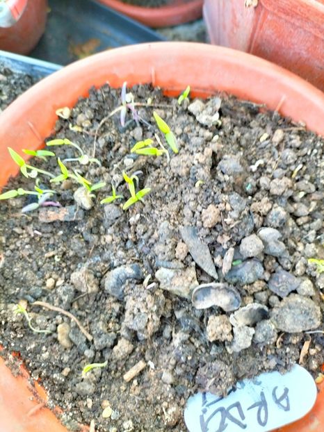 IMG20230212102851 - Februarie 2023