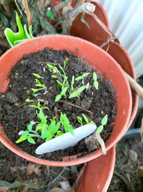 IMG20230212102836 - Februarie 2023