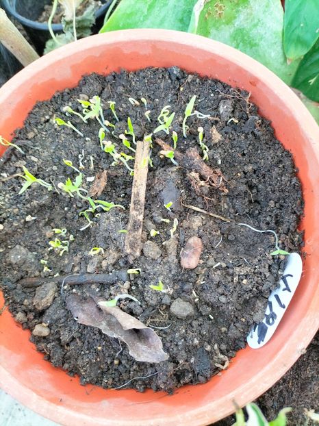 IMG20230212102832 - Februarie 2023