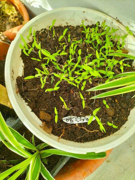 IMG20230212102823 - Februarie 2023