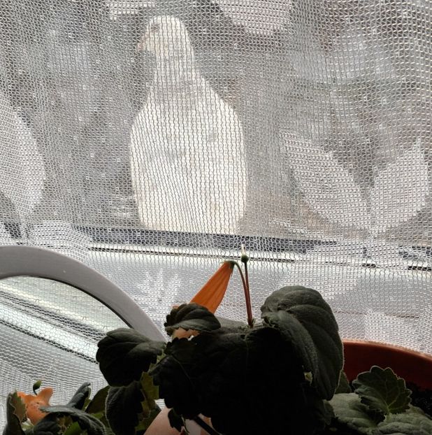 In timpul sedintei foto... - Căutând bucuria la pas